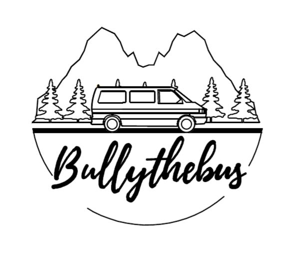 Read more about the article Bullythebus stellt sich vor